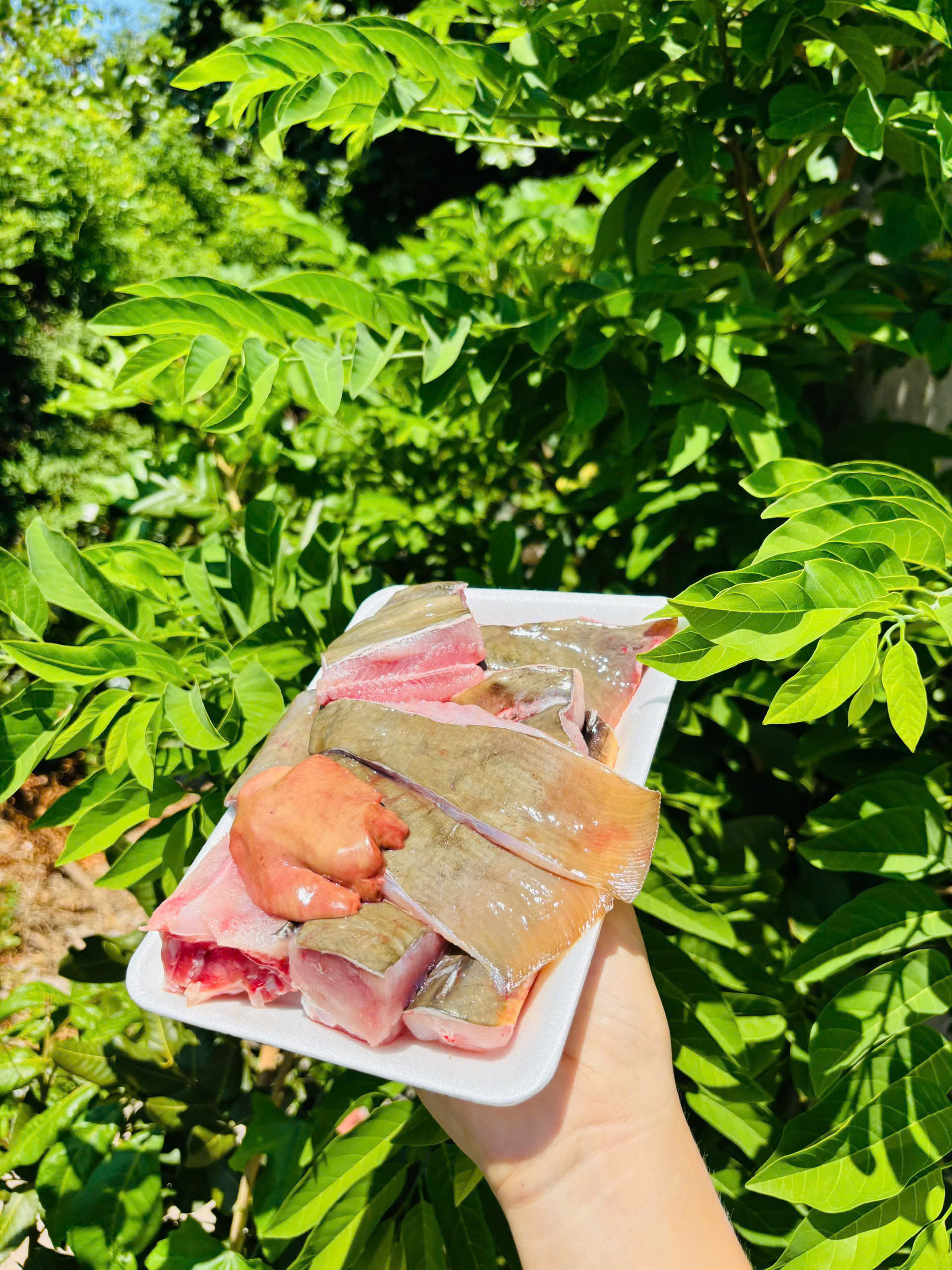 CHẢ CÁ THU chiên