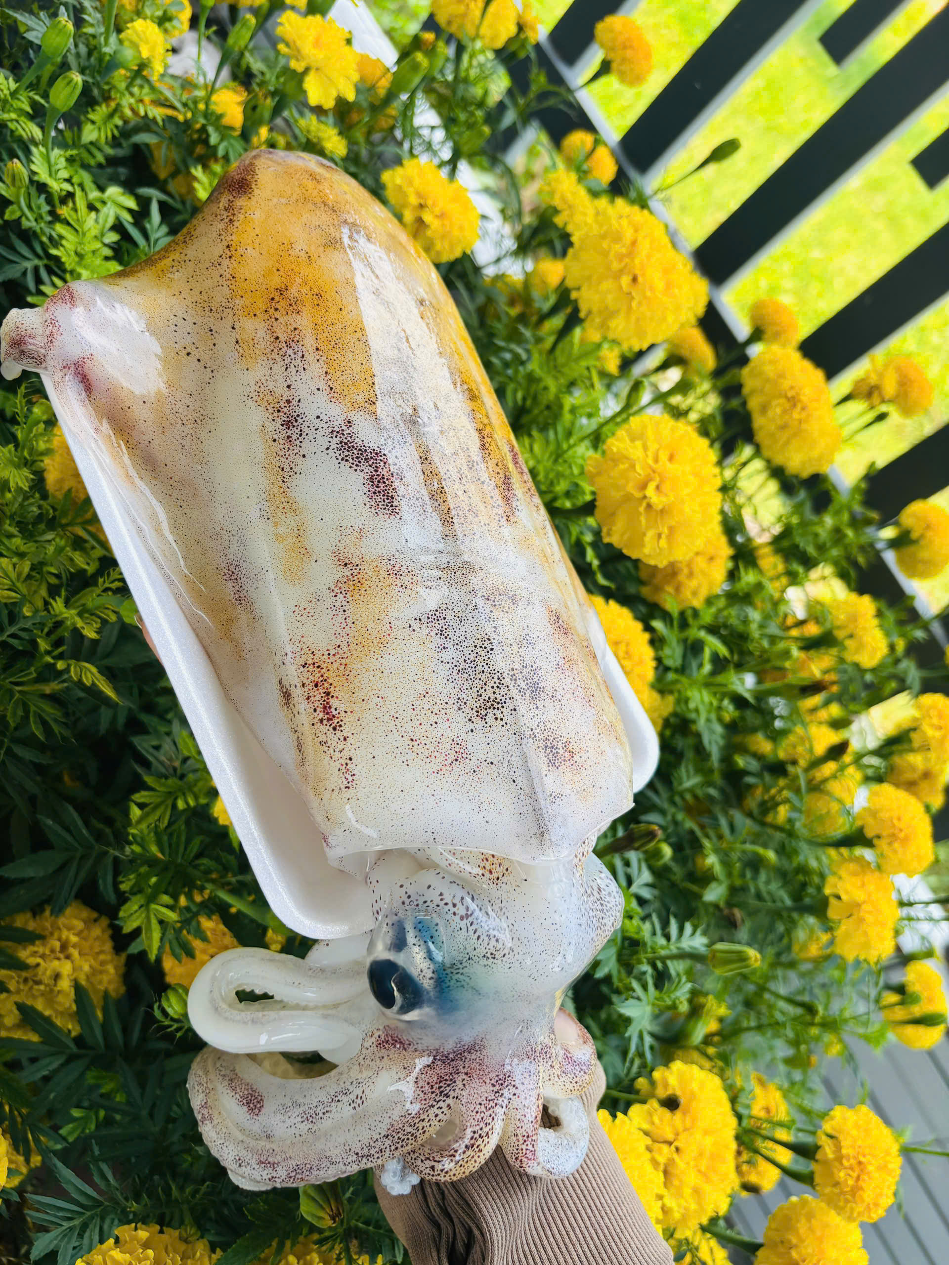 MỰC ỐNG MINI