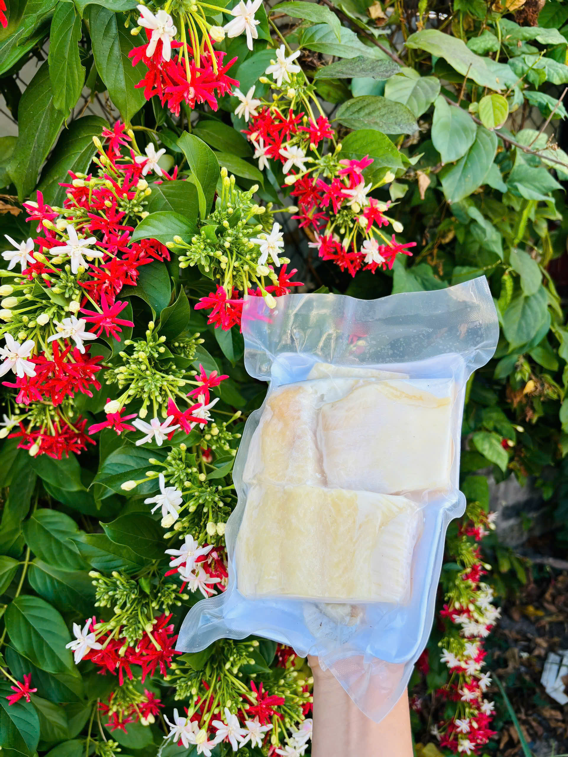 MỰC LÁ 1 (1-2con/kg)