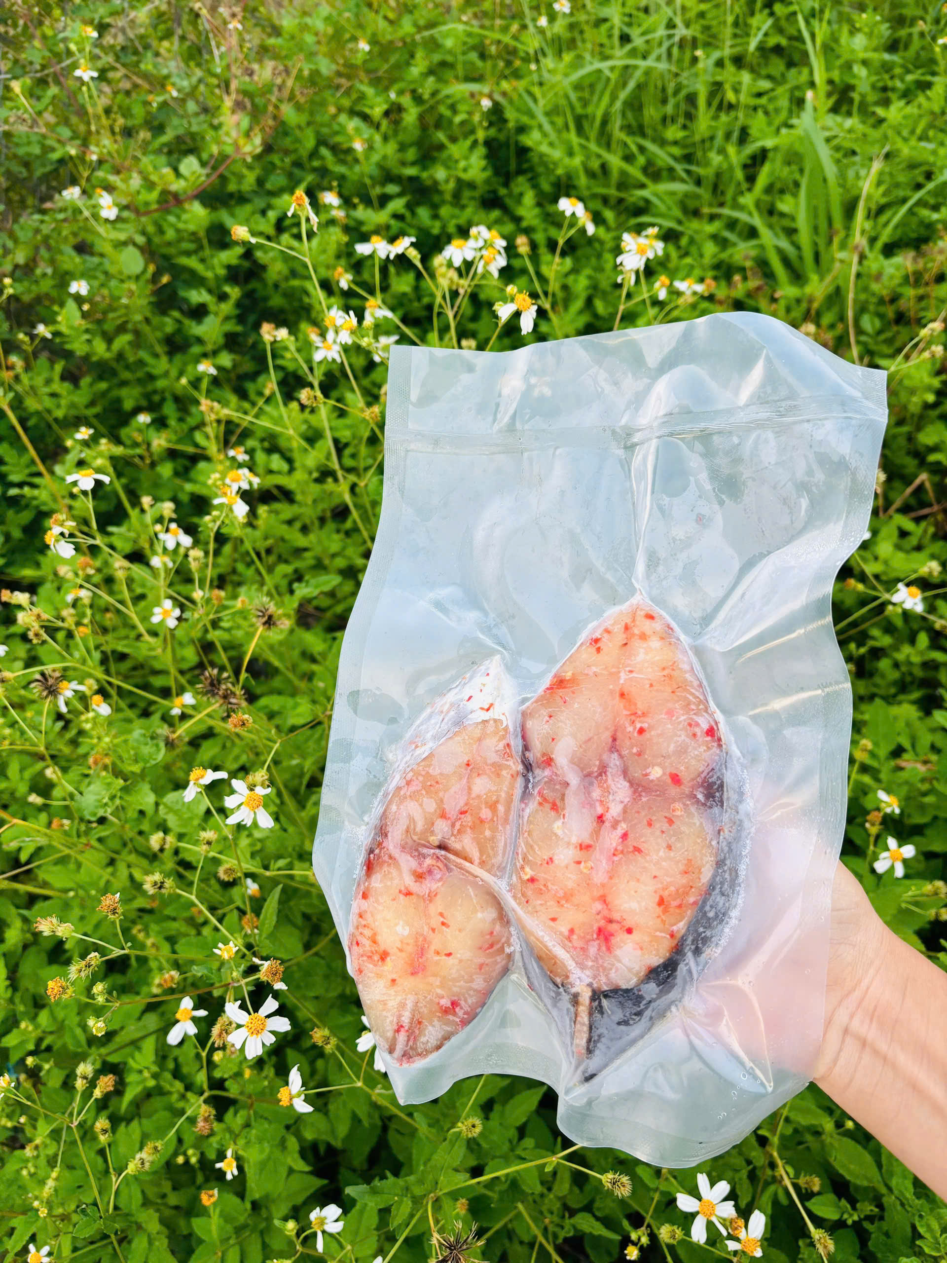 ĐẦU/ĐUÔI CÁ BỚP