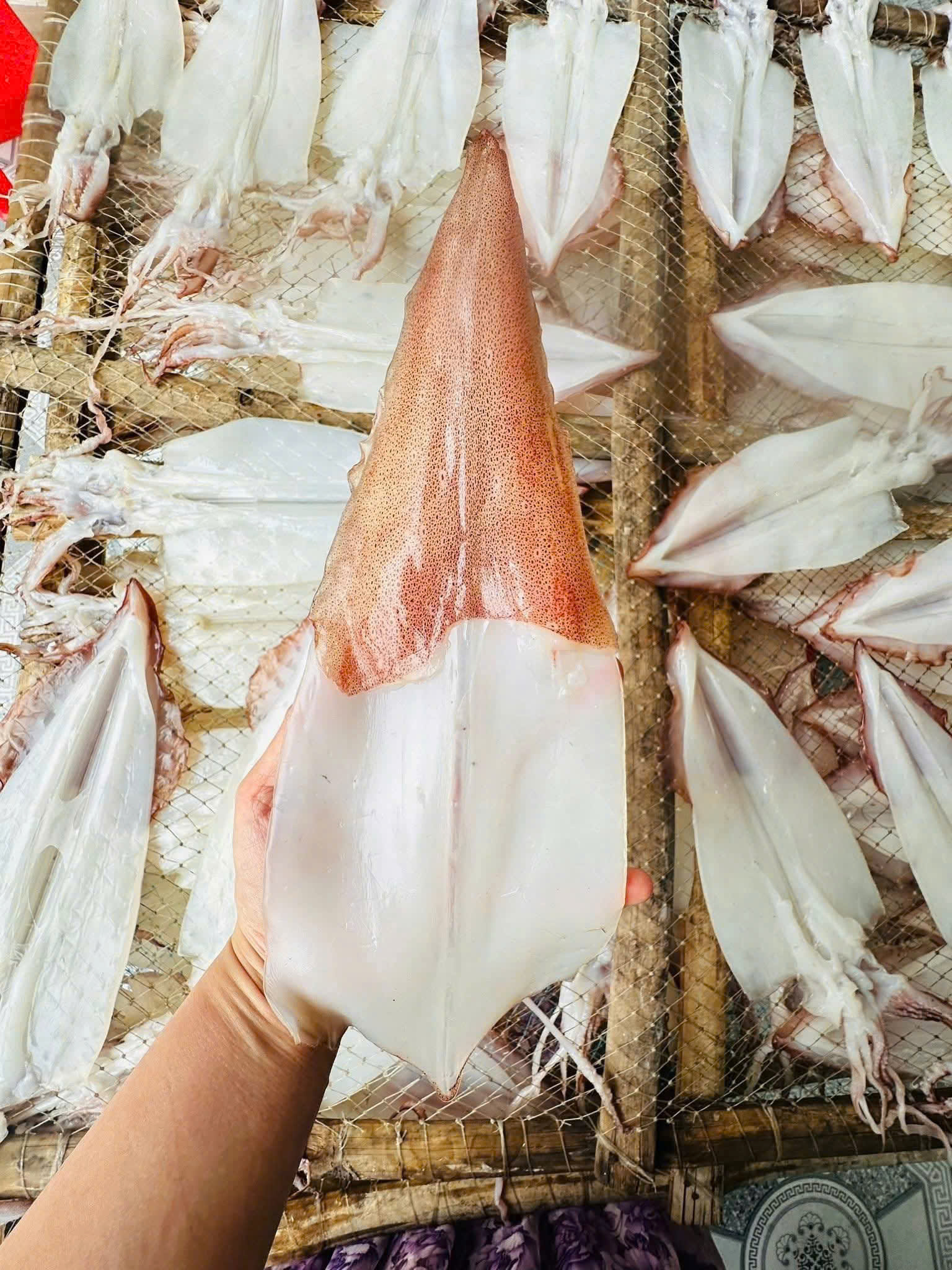 CÁ BÀN SA (nguyên con/kg)